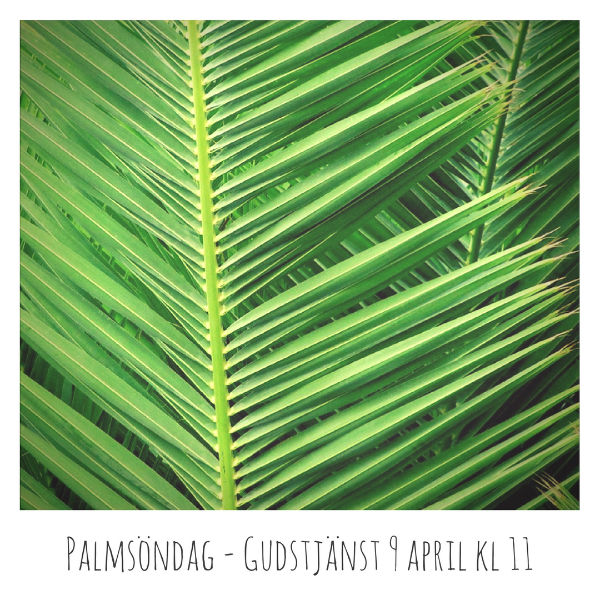 Palmsöndag – Gudstjänst 9 april kl 11