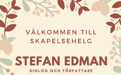 Skapelsehelg i Rosengårdskyrkan med Stefan Edman